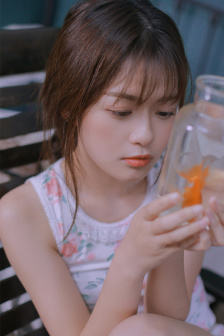 一树梨花压海棠